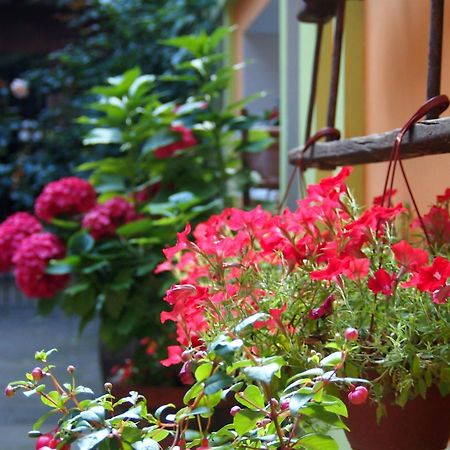 Guest Accommodation Etno Konak Tasana นิส ภายนอก รูปภาพ