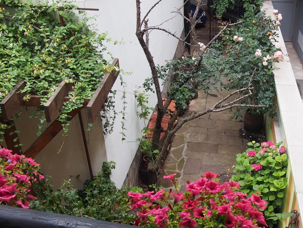 Guest Accommodation Etno Konak Tasana นิส ภายนอก รูปภาพ