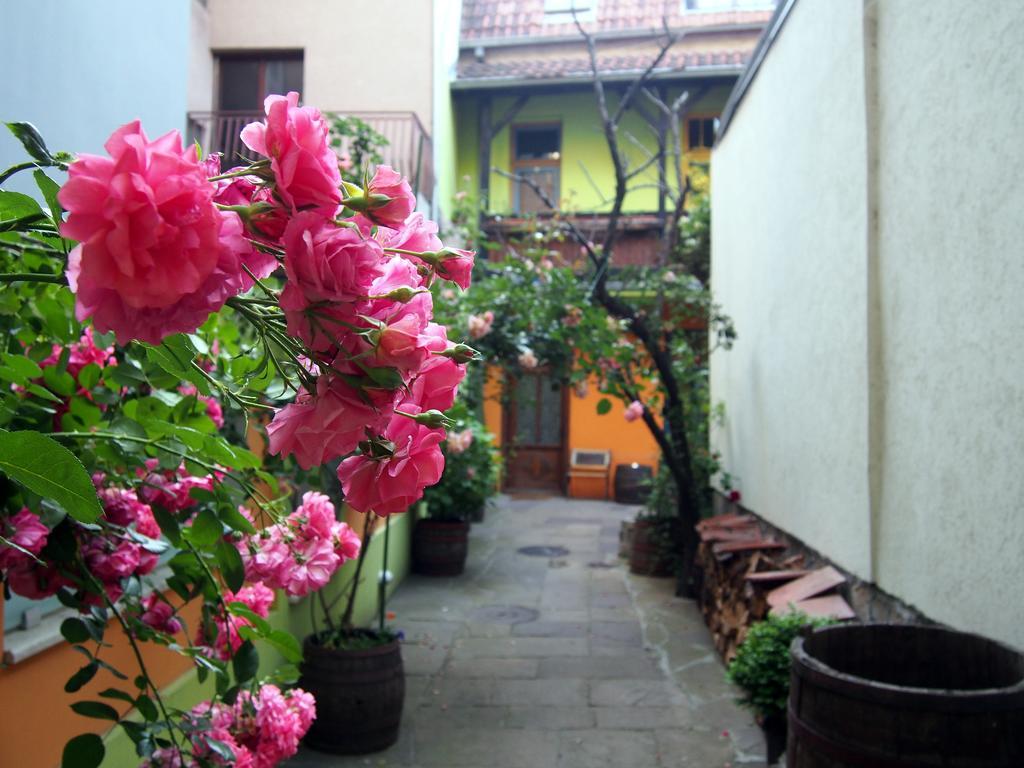 Guest Accommodation Etno Konak Tasana นิส ภายนอก รูปภาพ