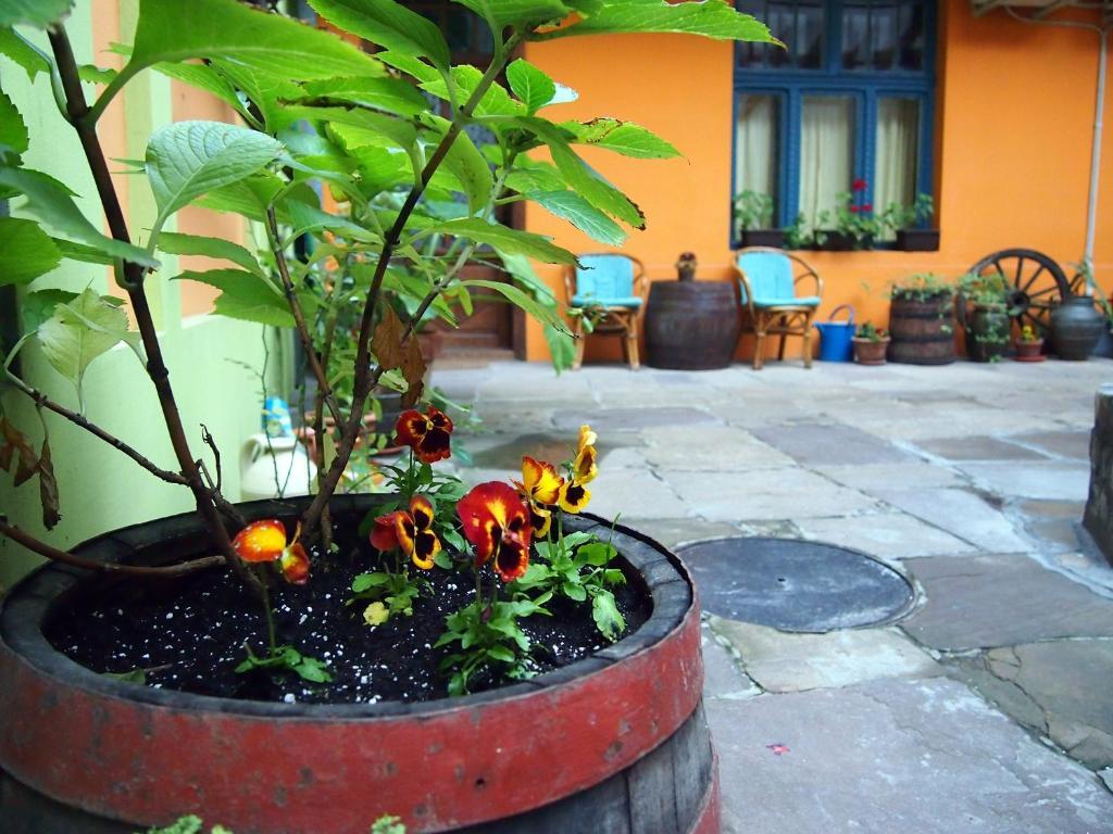 Guest Accommodation Etno Konak Tasana นิส ภายนอก รูปภาพ