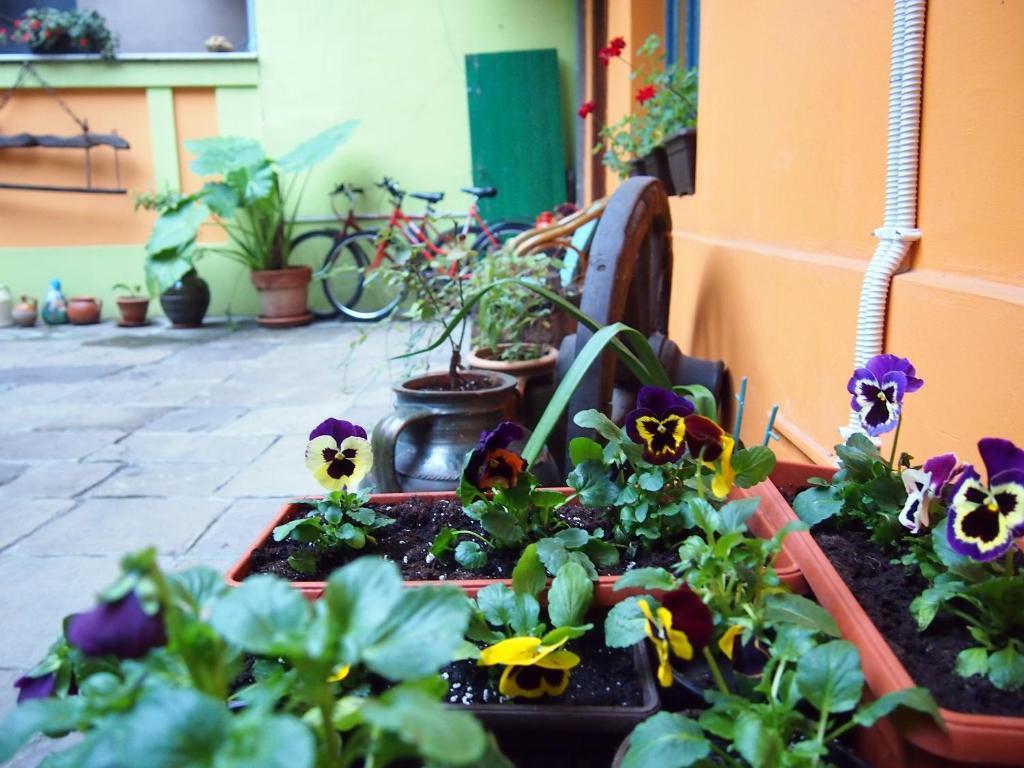Guest Accommodation Etno Konak Tasana นิส ภายนอก รูปภาพ